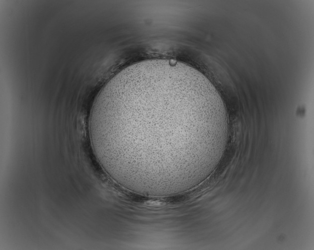 X0000089460699200707131948