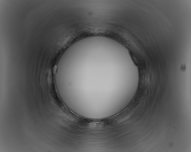 X0000089460700200707131948