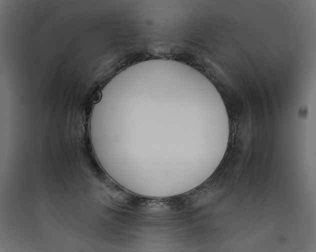 X0000089460702200707131948