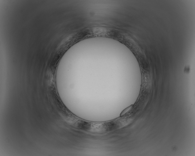 X0000089460705200707131948