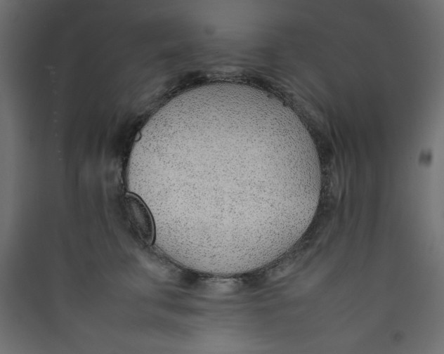 X0000089460711200707131948