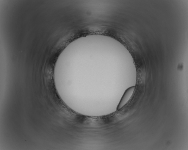 X0000089460713200707131948