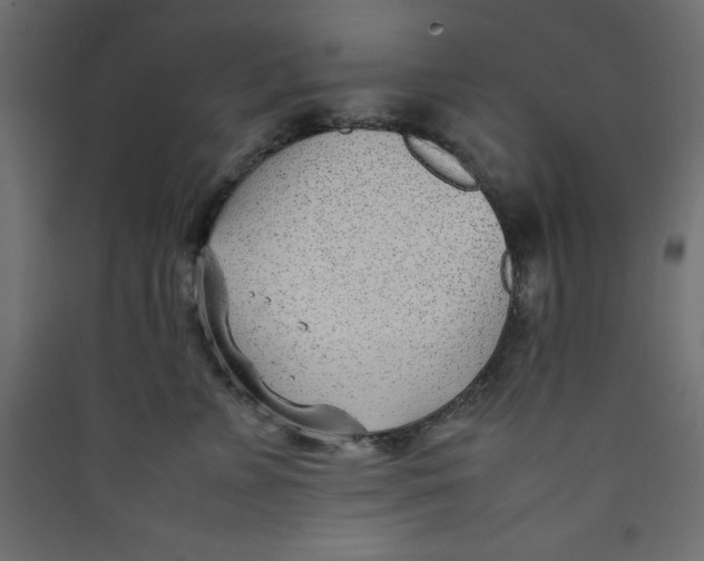 X0000089460715200707131948