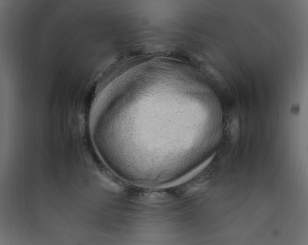 X0000089460716200707131948