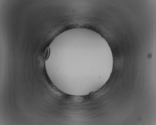 X0000089460719200707131948