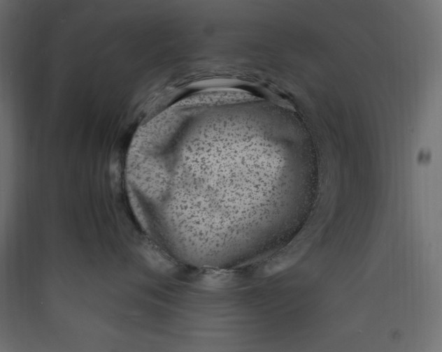 X0000089460720200707131948