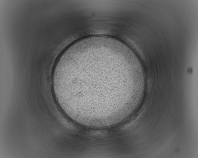 X0000089460721200707131947