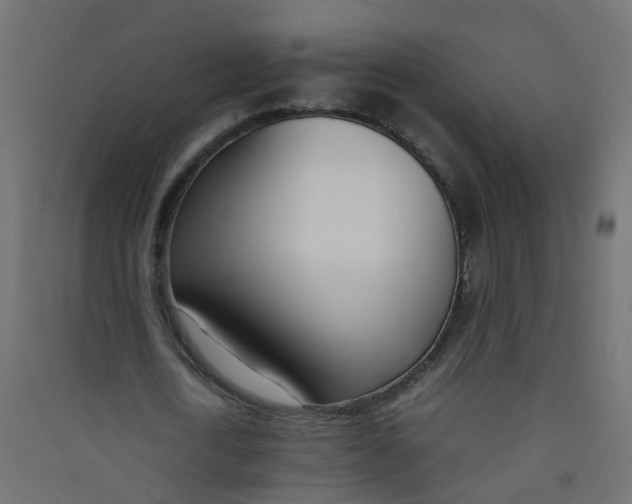 X0000089460722200707131947