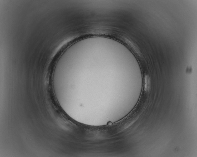 X0000089460723200707131947