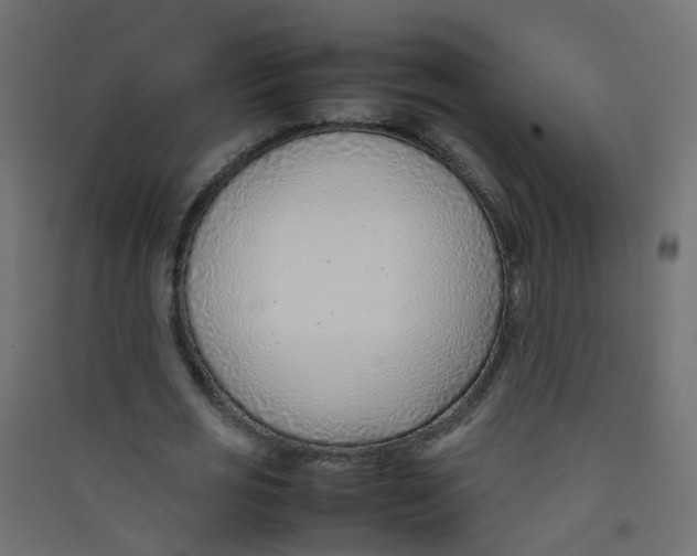 X0000089460725200707131947