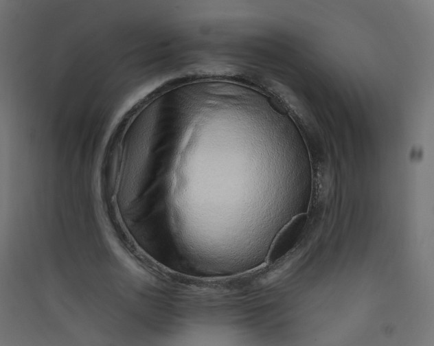 X0000089460726200707131947