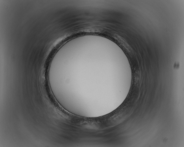 X0000089460727200707131947