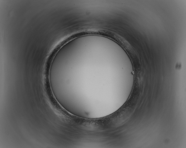 X0000089460728200707131947