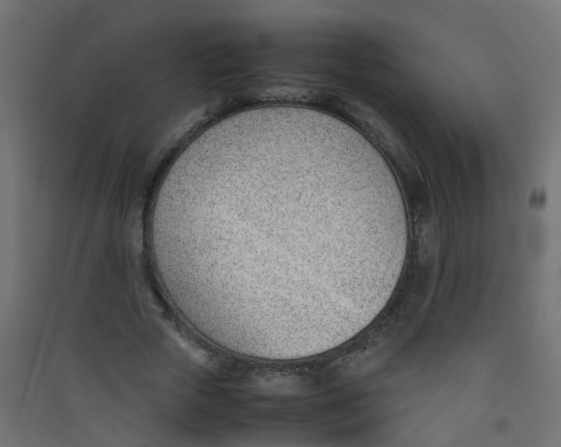 X0000089460729200707131947