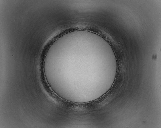 X0000089460730200707131947