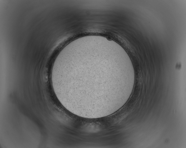 X0000089460731200707131947