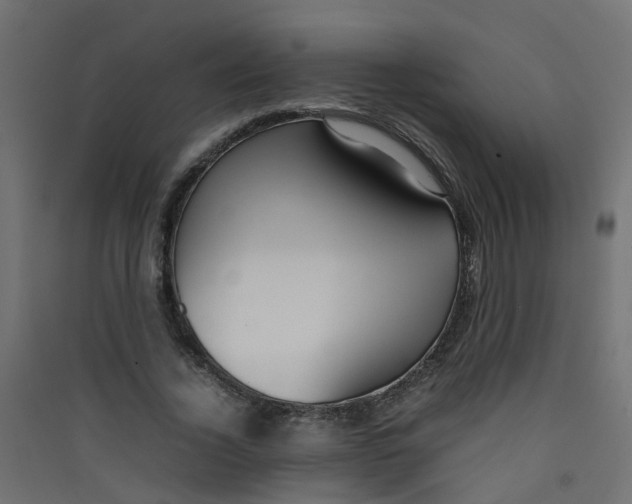 X0000089460732200707131947