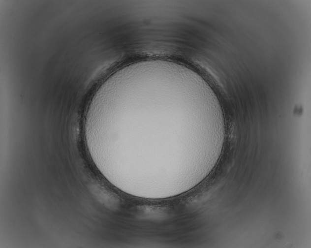 X0000089460733200707131947