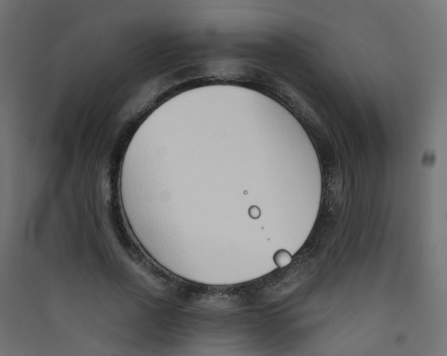 X0000089460734200707131947