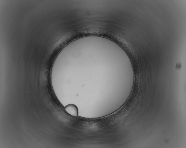 X0000089460735200707131947