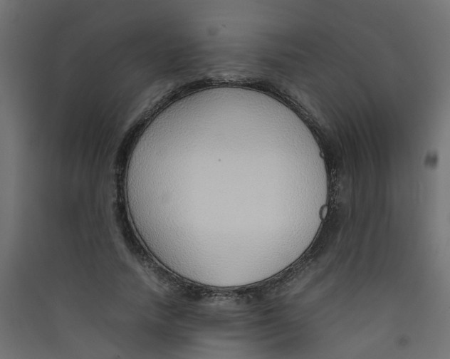 X0000089460738200707131947