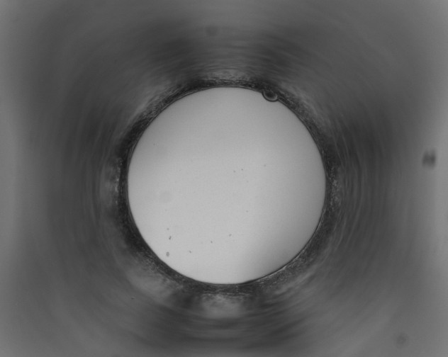 X0000089460739200707131947