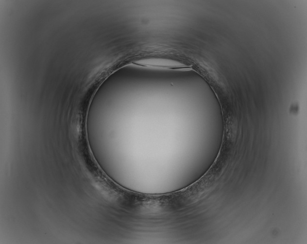 X0000089460740200707131947