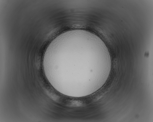 X0000089460741200707131947