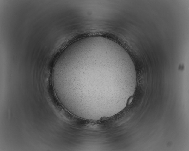 X0000089460742200707131947