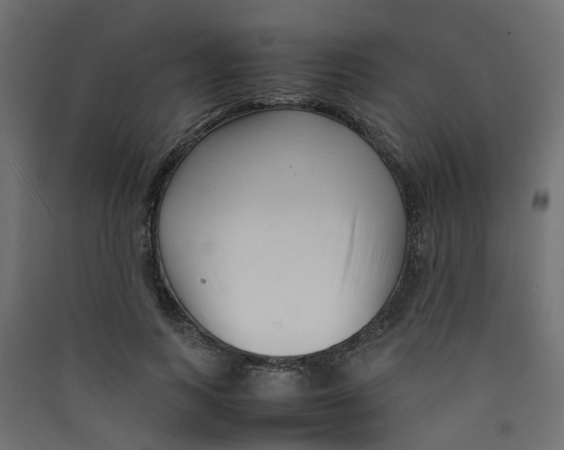 X0000089460743200707131947