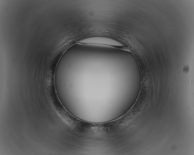 X0000089460744200707131947