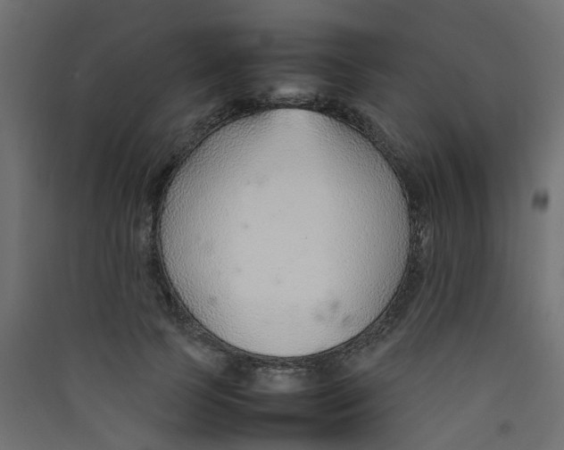 X0000089460745200707131947