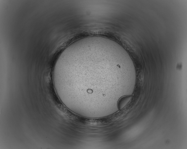 X0000089460746200707131947