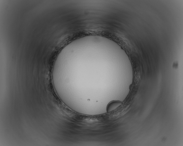 X0000089460749200707131948