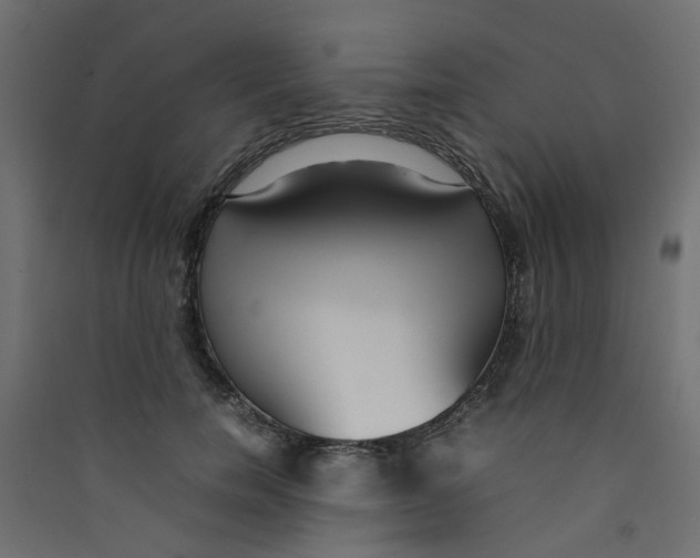 X0000089460750200707131948