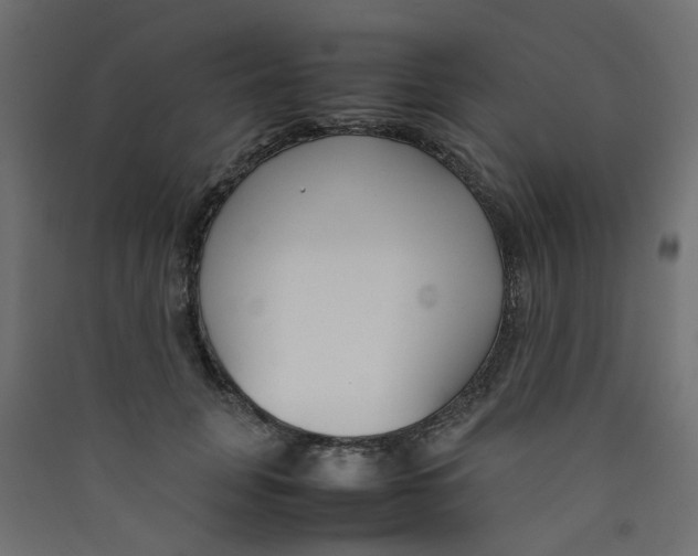 X0000089460751200707131948