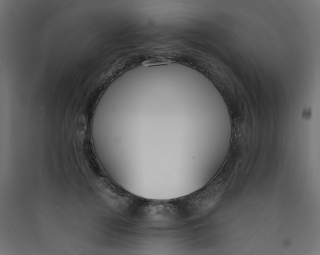 X0000089460752200707131948