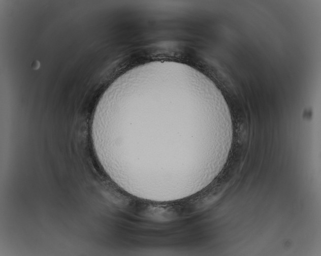 X0000089460753200707131948