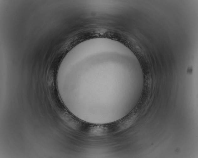 X0000089460754200707131948