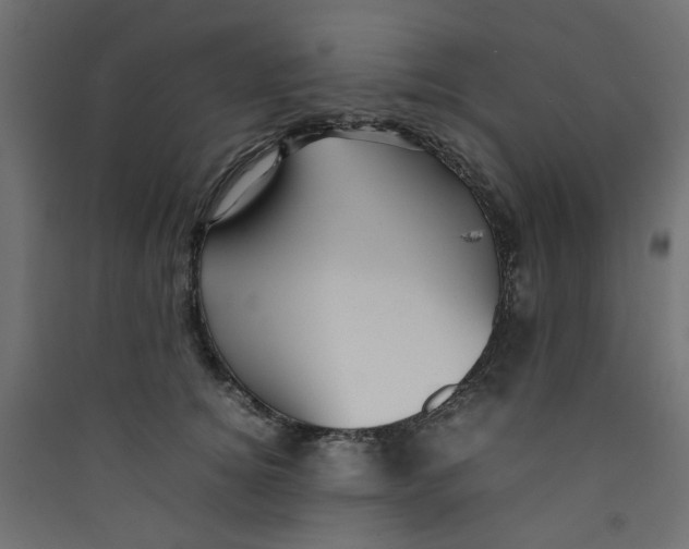 X0000089460756200707131948