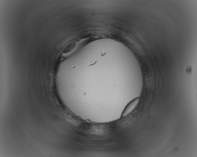 X0000089460757200707131948