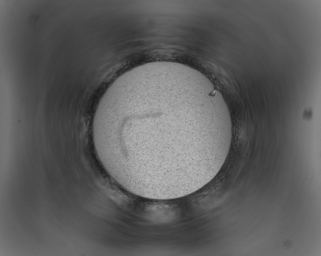 X0000089460759200707131948