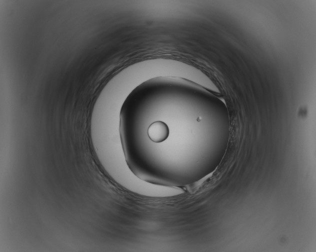 X0000089460762200707131948