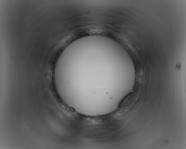 X0000089460763200707131948