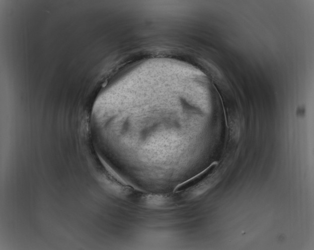 X0000089460766200707131948