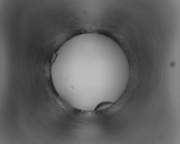 X0000089460768200707131948