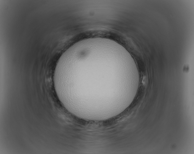 X0000089460771200707131947