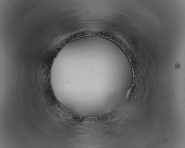 X0000089460773200707131947