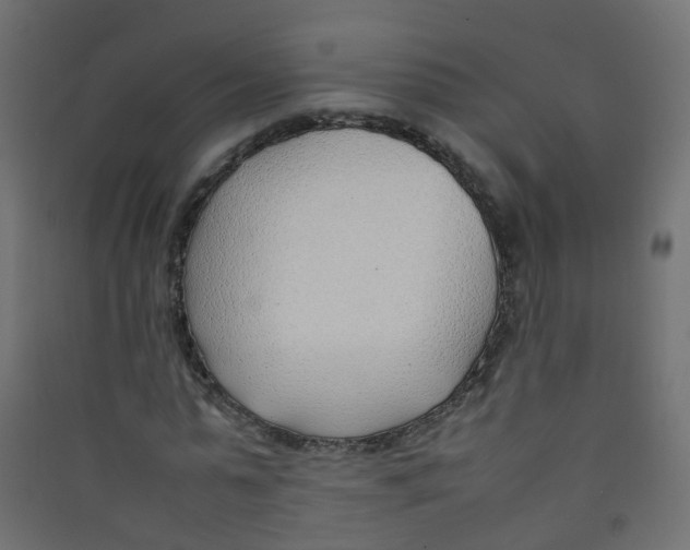 X0000089460775200707131947