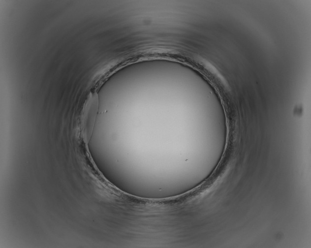 X0000089460777200707131947